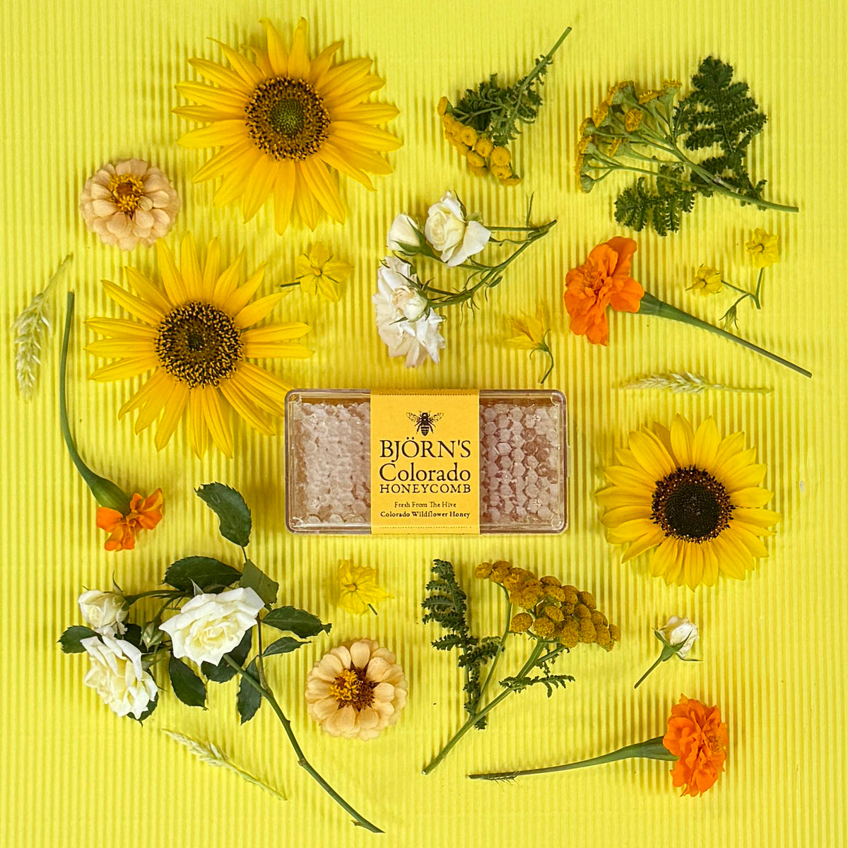 Colorado Honeycomb – Björn's Colorado Honey