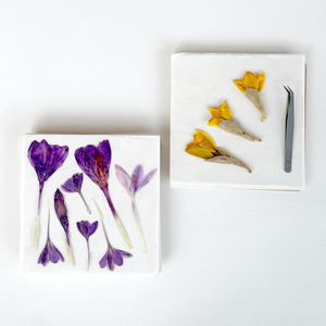 Björn's Classic Flower Press Kit